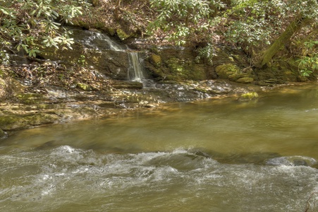 Hothouse Hideaway- Creek view