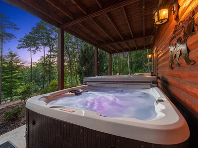 Soaring Hawk Lodge - Lower Level Patio Hot Tub