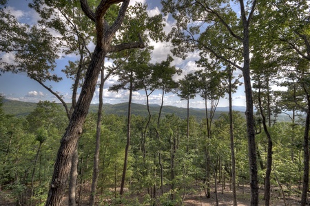 A Perfect Day- Long range views