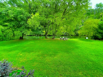 Take Me to the River - View from Back Deck