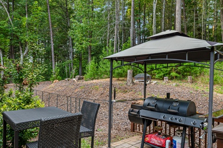 Goose Island Retreat - Outdoor BBQ Area