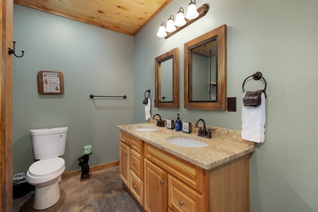 L'Attitude Adjustment - Lower Level Shared Bathroom