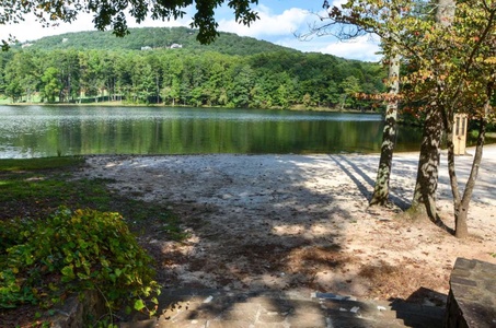 Lake View Bliss