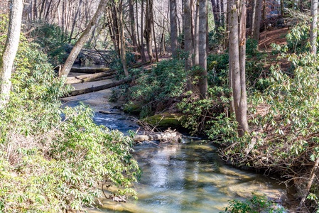Bear Creek:  Dunn Mill Creek