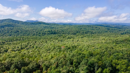 Panoramic Paradise: View from Entry Level Deck