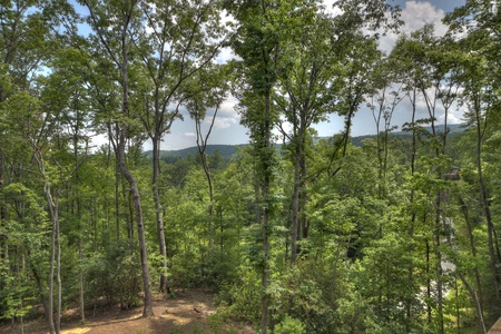 Deer Trails Cabin - Forest and Mountain Views