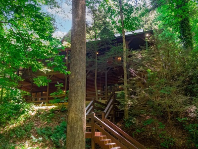 Babbling Brook- Cabin view from the creek