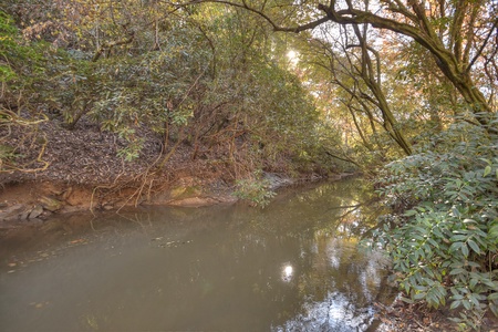 Happy Trout Hideaway- Hot House Creek