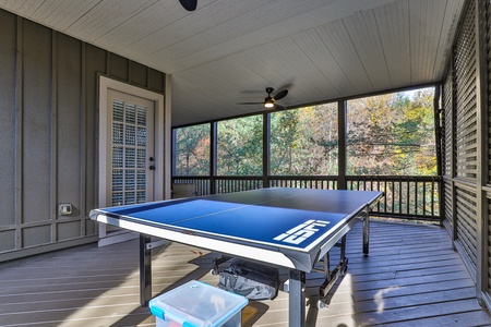 Bear Pause Cottage - Ping Pong Table