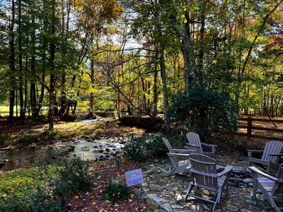 Stanley Creek Lodge - Firepit