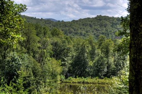 Pates Escape - Pond, Forest and Mountain Views