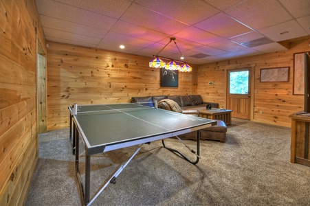 Hogback Haven- Lower-level Entertainment Room