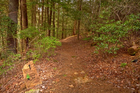 Reel Creek Lodge- Trail leading to the creek from the cabin