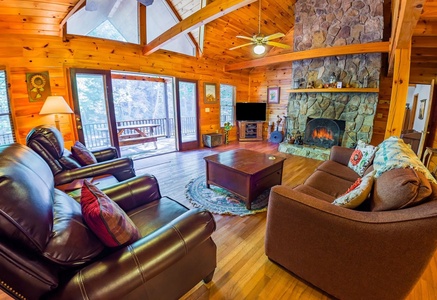 Rivers DLite - Family Room and Fireplace