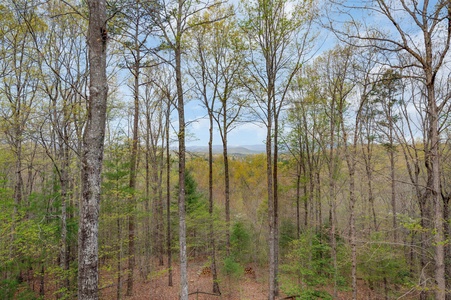 Scenic Ridge - Upper-level Primary Private Balcony View