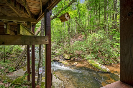 Tuckaway Cave - Fightingtown Creek Frontage