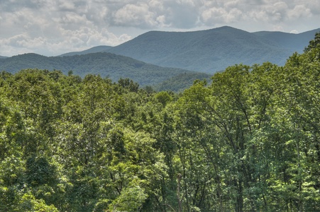 Bearadise - Cherry Log, GA Cabin with Forest and Mountain Views