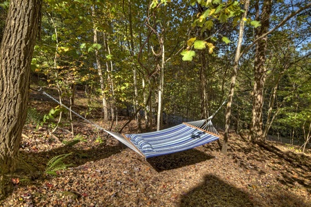 Ridgetop Pointaview- Hammock area