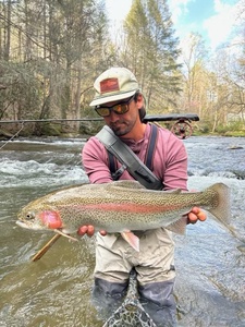 Mountaintown Creek Lodge -Tall Tails Fly Fishing