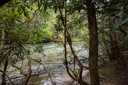 Hayes Haven - Fightingtown Creek