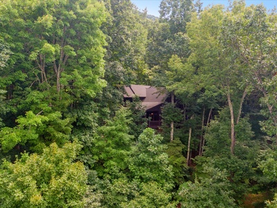 Away from Everyday: Aerial View of Cabin