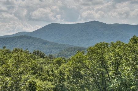 Bearadise - Mountain and Valley Views