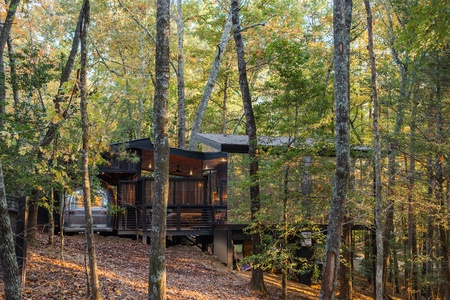 Easy Tiger - Forest views looking onto the cabin space