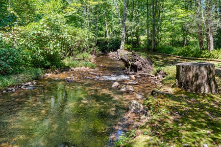 Reel Medicine sits on The Banks of Big Creek