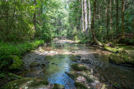 Creek Music Cabin - Mountaintown Creek