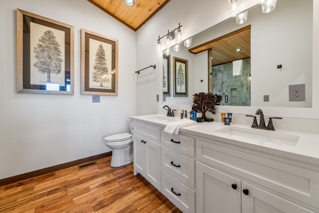 Rich Mountain Chateau Entry Level Primary Bathroom