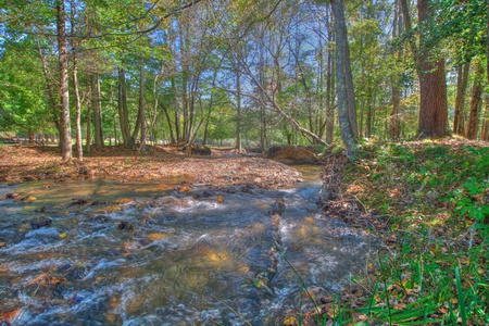 Stanley Creek Lodge - Stanley Creek