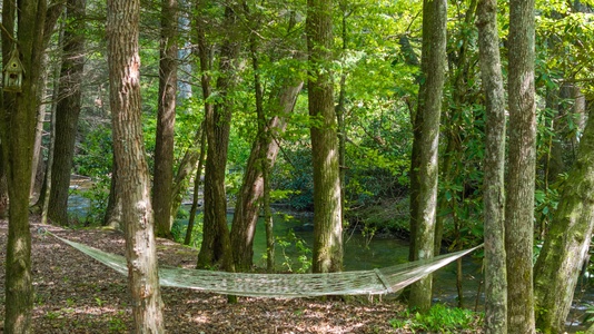 A Creek Runs Thru It - Relax in the Hammock Creekside