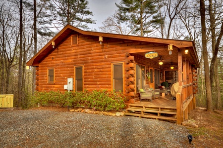 Bear Butte - Cherry Log, GA Cabin
