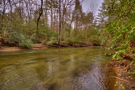 Reel Creek Lodge- Fightingtown Creek view