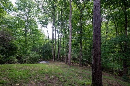 Wise Mountain Hideaway - Lots of yard space for activities