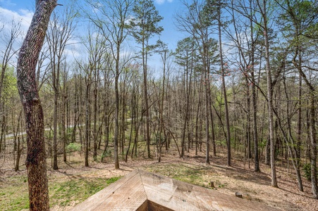 Rustic Elegance - View from the Deck