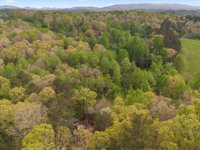 Fern Creek Hollow Lodge - Aerial View