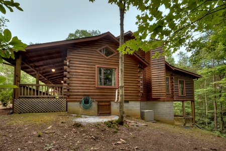 Falling Leaf- Side view of the cabin