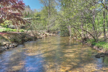 Stanley Creek Lodge - Creek