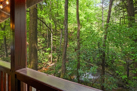 Tuckaway Cave - View of Fightingtown Creek From Deck (8)