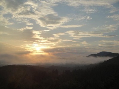 Brown Bear Vista - Beautiful view