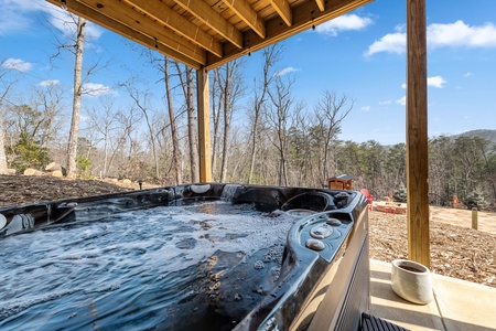 Big Top of Blue Ridge: Lower Level Hot Tub