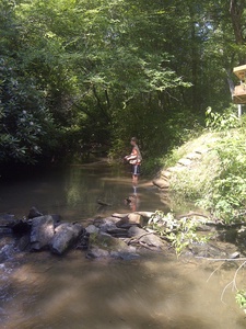 Happy Trout Hideaway- Step off the porch fishing