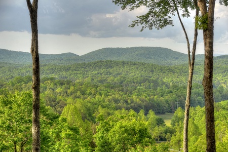 Drink Up The View - Mountain and Forested Valley Views