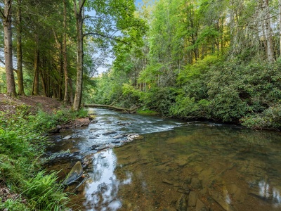 River Joy Lodge- Ellijay River View