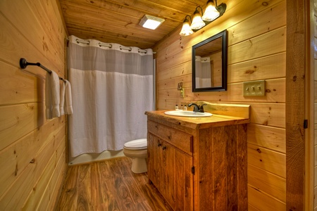 Point Of View - Lower Level Full Bathroom