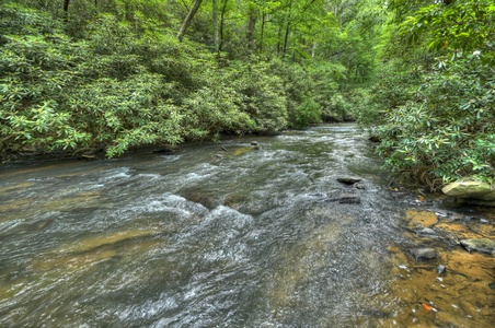 Stoney Creek Retreat - Ellijay River Access