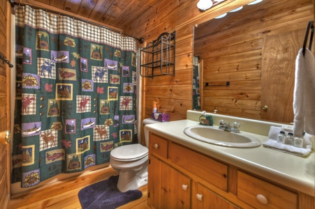 Bear End- Main level full bathroom