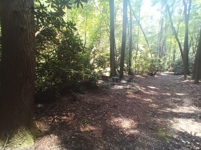 Melody Creek Cabin - Private Creek Side Seating