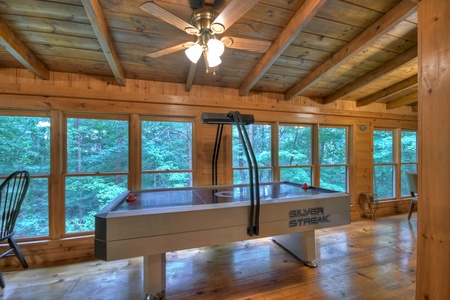 Falling Leaf- Air hockey table with forest views